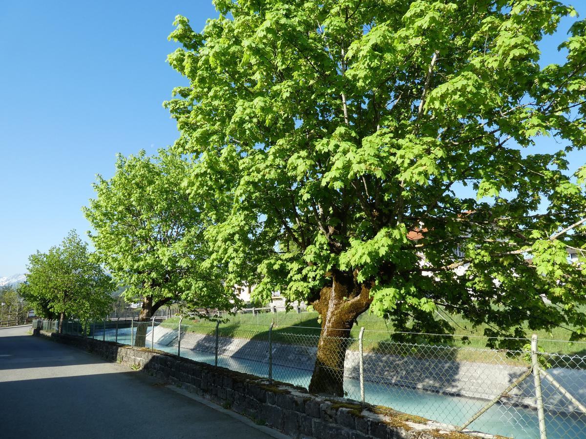 Apartamento Haus Abendsonne Familie Druxes Krün Exterior foto